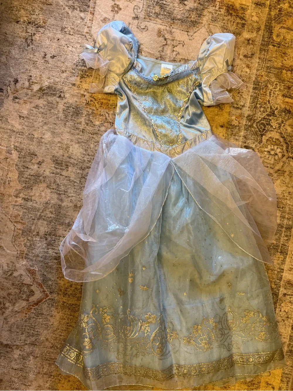 Disney princess dress